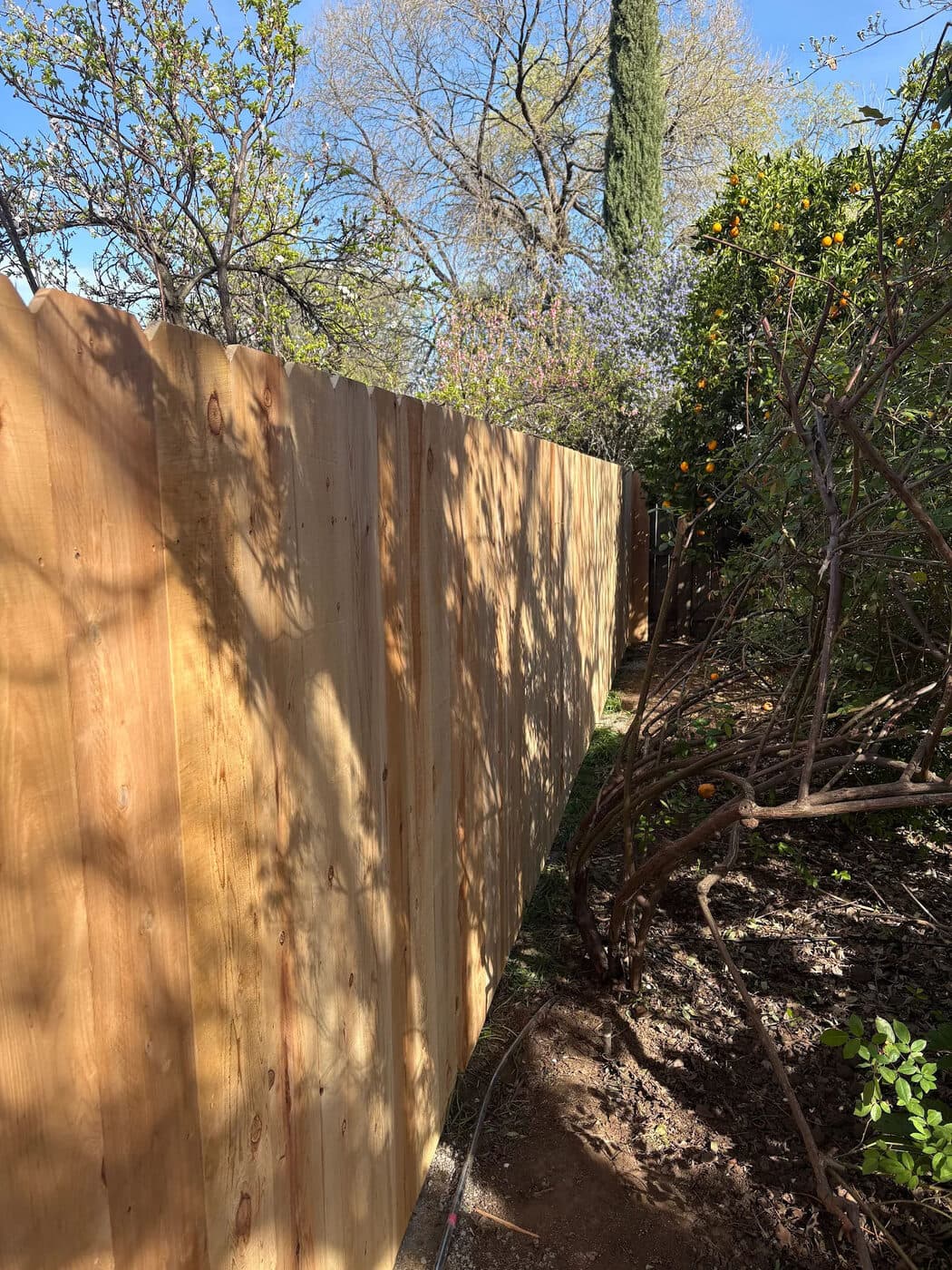 Dog-Ear Cedar Fence